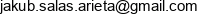 Jakub Salas Arieta Smart Archive Email address