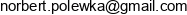 Enpe Consulting Norbert Polewka Email address