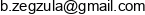 Bz It Consulting Boguslaw Zegzula Adres e-mail