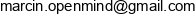Marcin Wozniak Openmind Email address