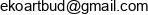Ekoartbud Email 1