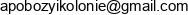 A P Anna Pazdziorek Email address
