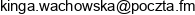 1 Rafkor Kinga Wachowska 2 Rafkor Kinga Wachowska Wspolnik Spolki Cywilnej Adres e-mail