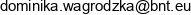 Cine Mobil Polska Email address Cine Mobil Polska Email address