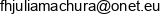 F H Julia Ojrzynska Email address