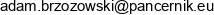 Bizon Mobile Adres e-mail