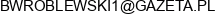 Bartosz Wroblewski Consulting Services Email address