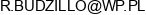 Remigiusz Budzillo Dental Studio Email address