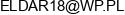 Edison Service Eldar Bieniek Email address