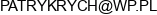 Netpat Patryk Rychert Adres e-mail