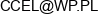 Amt Group Cezary Celejewski Email address