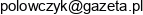 Polowczyk Ryszard Email address