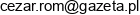 Syldom Cezary Romanowski Email address