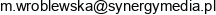 Synergy Media Martyna Wroblewska Email address