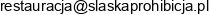 Slaska Prohibicja Email address