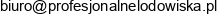 Profesjonalne Lodowiska Email address