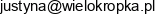 Agencja Marketingowa Wielokropka Justyna Kowalczyk Adres e-mail