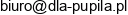 Overseas Consultants Inc Spolka Z Ograniczona Odpowiedzialnoscia Email 1