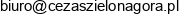 Przedsiebiorstwo Cezas Email address
