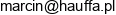 B Think Audit Email address