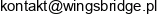 Wingsbridge Instytut Naukowo Doradczy Email 1