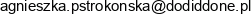 Dodiddone Adres e-mail