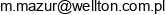 Wellton Account And Finance Consulting Adres e-mail
