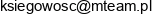 Mteam Group Adres e-mail