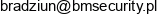 Bmsecurity Bartlomiej Radziun Adres e-mail