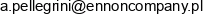 Ae Consulting Alfredo Pellegrini Adres e-mail