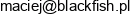 Pixelrace Email 1