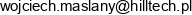 Ht Global Email address