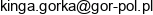 Gor Pol Service Spolka Z Ograniczona Odpowiedzialnoscia Adres e-mail