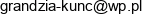 Tomasz Kuncewicz Qunc Serwis Email address