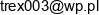 Piotr Jankowski It Email address