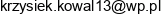 Kuznia Krzysztof Pawlik Adres e-mail