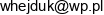 P P H U Hejduk Wojciech Hejduk Email address
