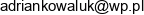 Dom Opieki Dla Osob Starszych Na Polanie Adrian Kowaluk Mokre 41a 72 130 Maszewo Email address