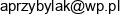 Anaj Produkcja Artykulow Spozywczych Przybylak I Wspolnicy Email 1