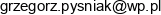Grzegorz Pysniak Uslugi Porzadkowe Email address