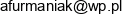 Jerzy Tochowicz Email address