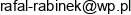 Rafal Rabinek Domek Email address
