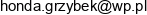 Jpg Company Email address