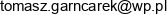 It Consulting Tomasz Garncarek Email address