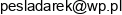 Auto Serwis Dariusz Pesla Email address
