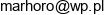 Fhup Expert Marta Pach Email address