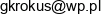 Tyski Kredens Dorota Wolek Email address