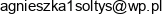 Kancelaria Adwokacka Adwokat Agnieszka Soltys Email address