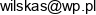 Towarzystwo Brokerow Ubezpieczeniowych S Wilska W Likwidacji Email 1