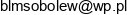 Miroslaw Calczynski Auto Naprawa B L M Email address